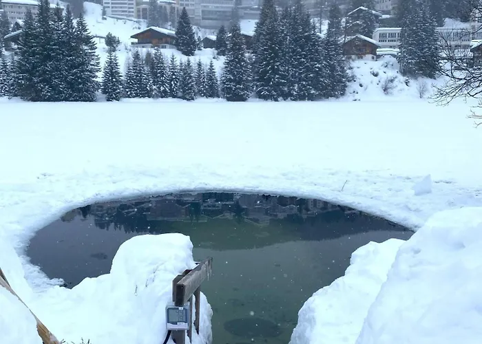 Апартаменты Brueggli A2