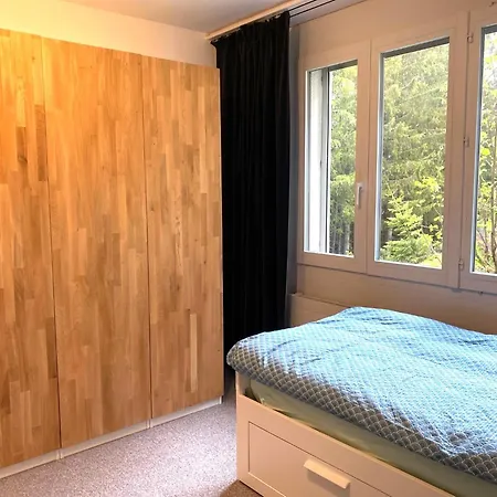 Appartement Brueggli A2 Arosa